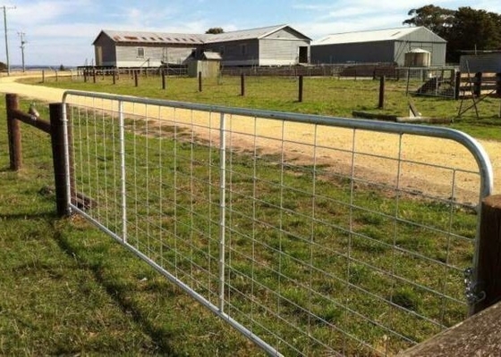 Q235 Steel 6ft Tall Livestock Handling Equipment For Goat Feeding