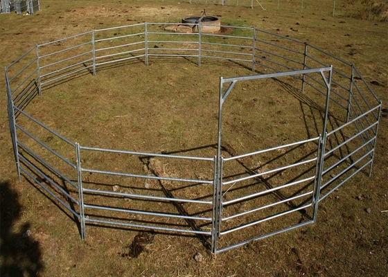 Livestock Corral Hot Dip Galvanized Cattle Yard Panel 1.8x2.1m Oval Rails