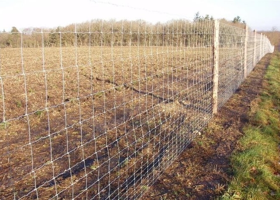 T Post 6ft Cattle Fence , 100m Long Farm Mesh Fencing