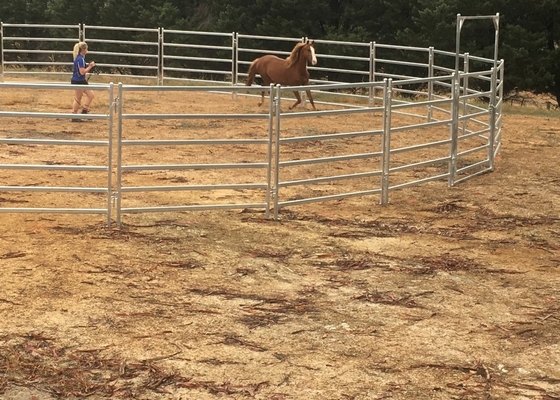 1.8x2.1m Heavy Duty Cattle Panel Australia Standard Galvanized Livestock Yard